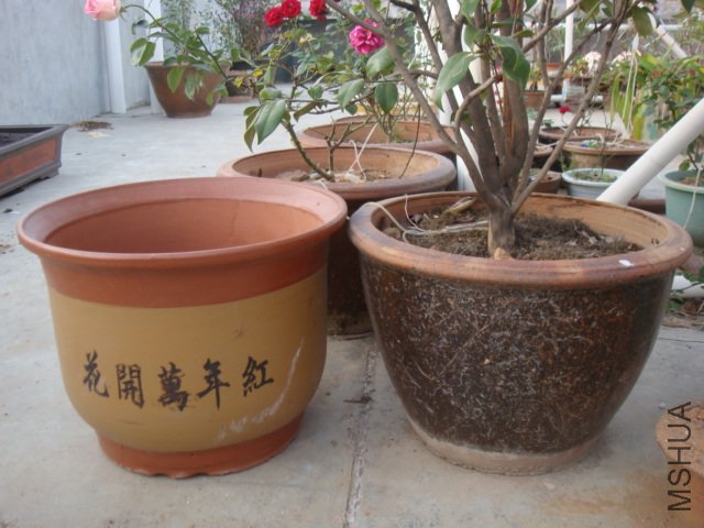 DSC06867.JPG
