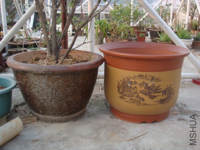DSC06868.JPG
