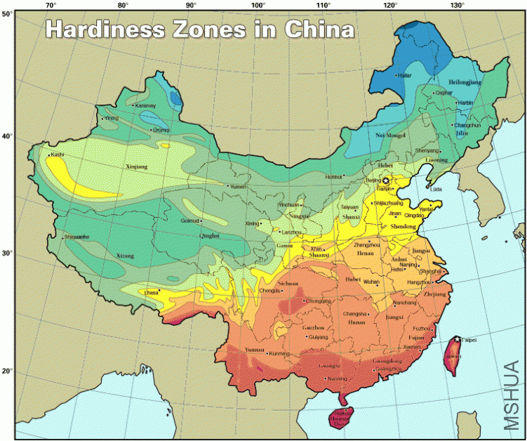 ChinaHZ.gif
