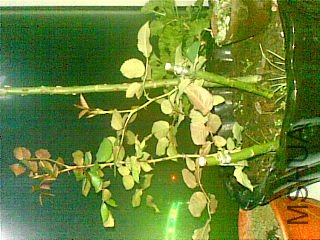20111122(001).jpg