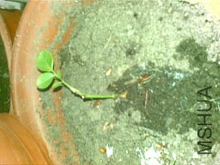 20111122(002).jpg