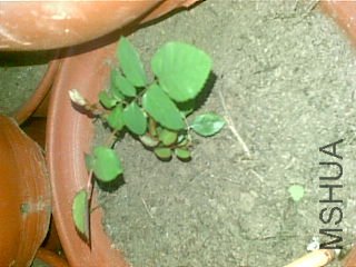 20111122(003).jpg