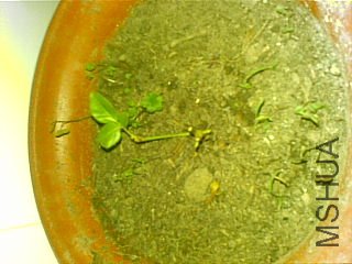 20111122(004).jpg