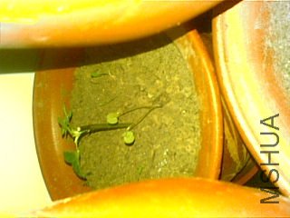 20111122(005).jpg