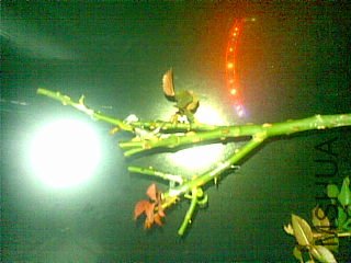 20111122(006).jpg