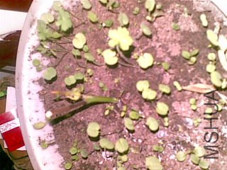20111122(007).jpg