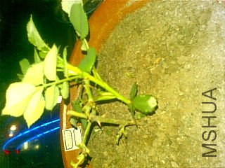 20111122(013).jpg