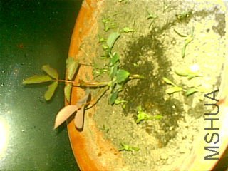 20111122.jpg