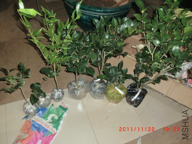 CIMG1425_����.jpg