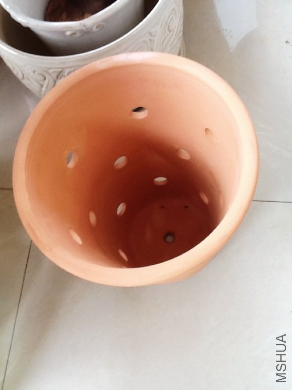 nEO_IMG_��Ƭ 016.jpg