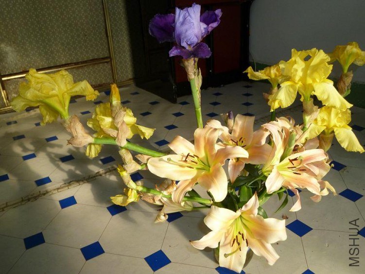 P1000970.JPG