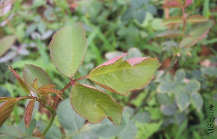 100_6995.jpg