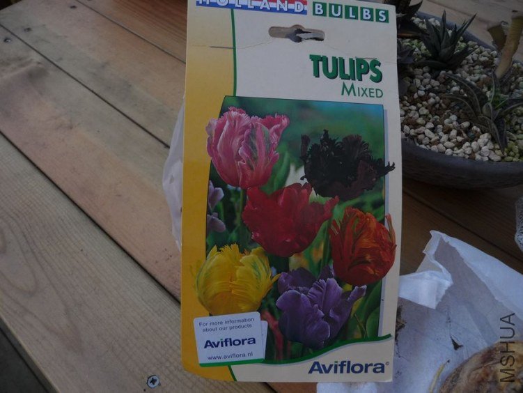 P1210833.JPG