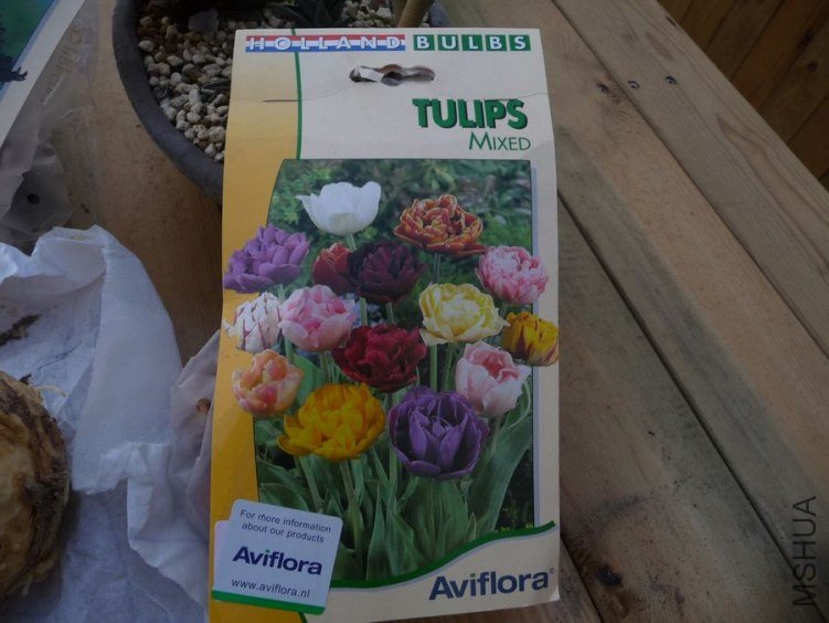 P1210834.JPG