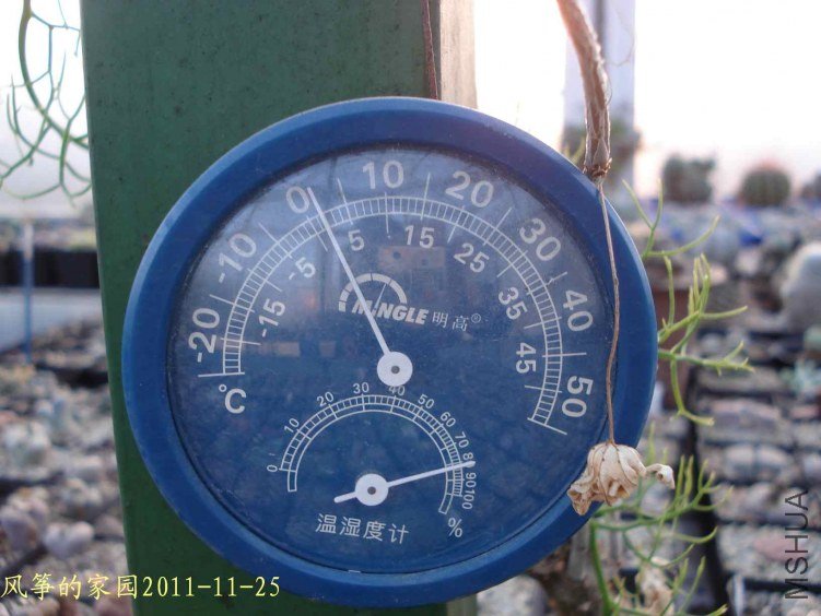 DSC05546.jpg