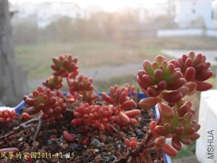 DSC05562.jpg