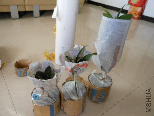 DSCN0610.jpg