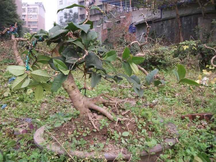 DSCF1319.JPG