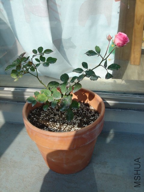 DSC03880.JPG