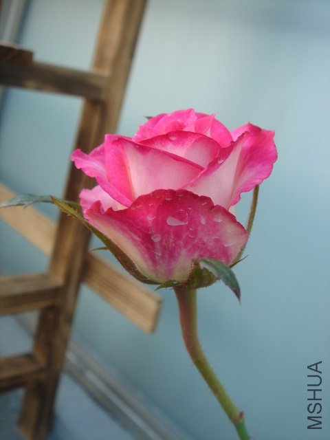DSC03901.JPG