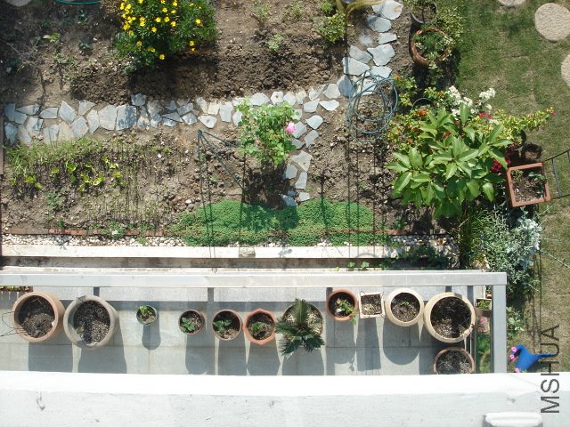 DSC03885.JPG