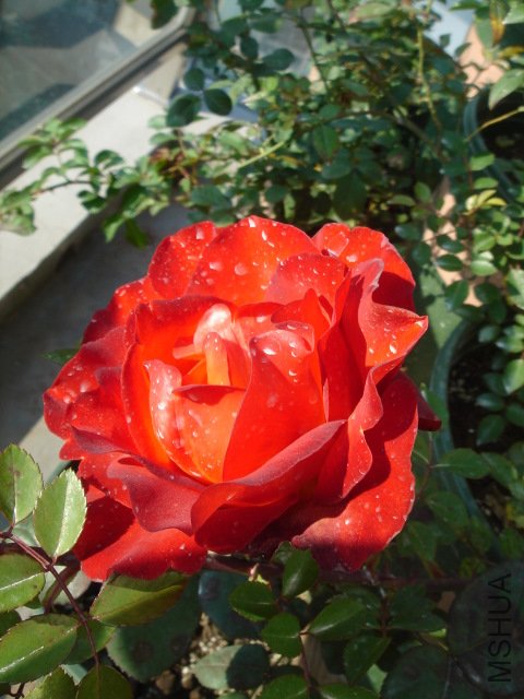 DSC03869.JPG