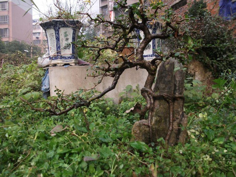 DSCF1345.JPG