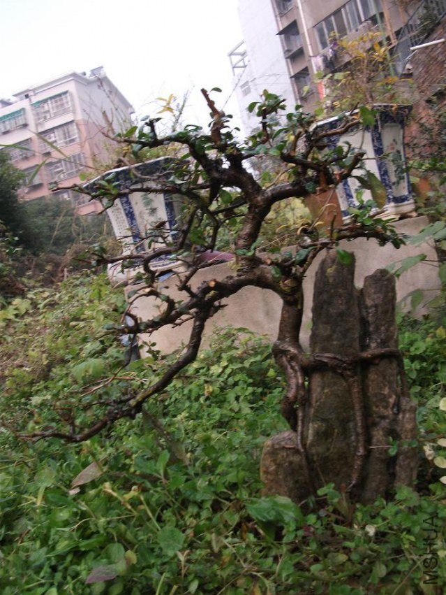 DSCF1346.JPG