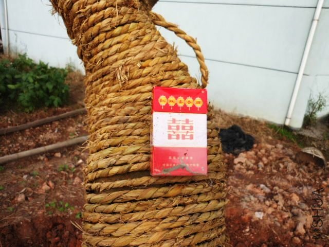 201110922624_2db965ab.jpg