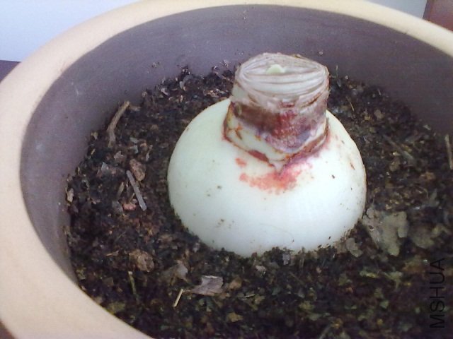 20111128207.jpg