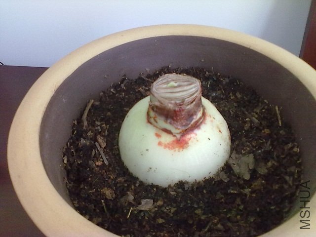 20111128209.jpg