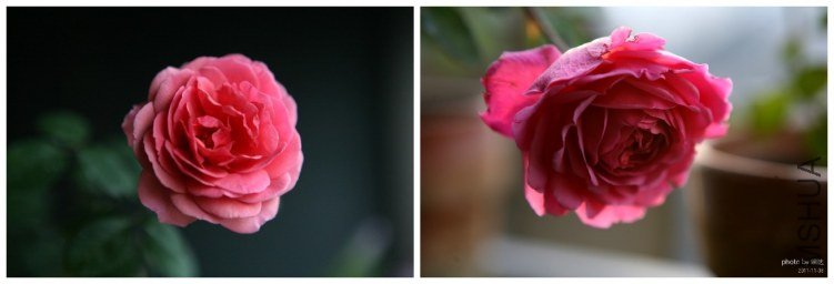 u18767675_120g213_����.jpg