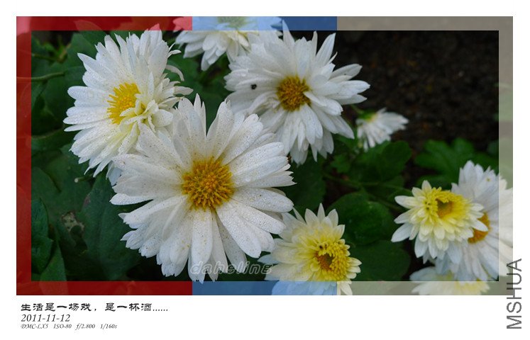 P1000624_����.jpg