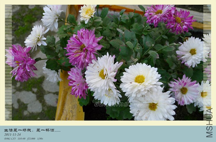 P1000678_����.jpg