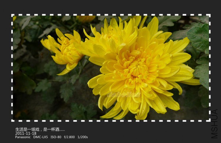 P1000649_����.jpg