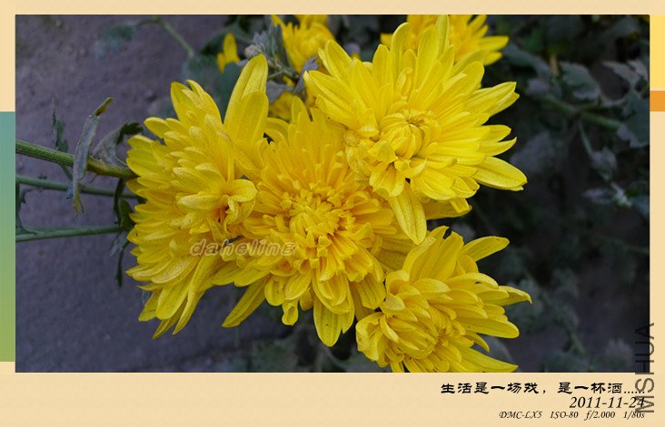 P1000675_����.jpg