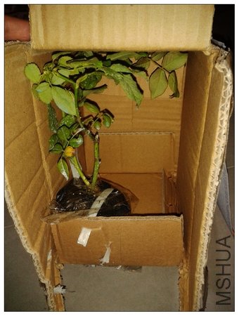 2011-11-28 18.52.54.jpg