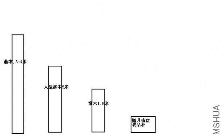 333.JPG