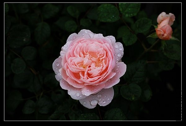 IMG_9338xiaotu.jpg