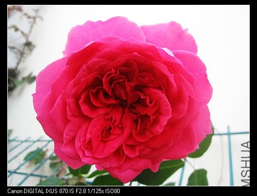 nEO_IMG_IMG_3539.jpg