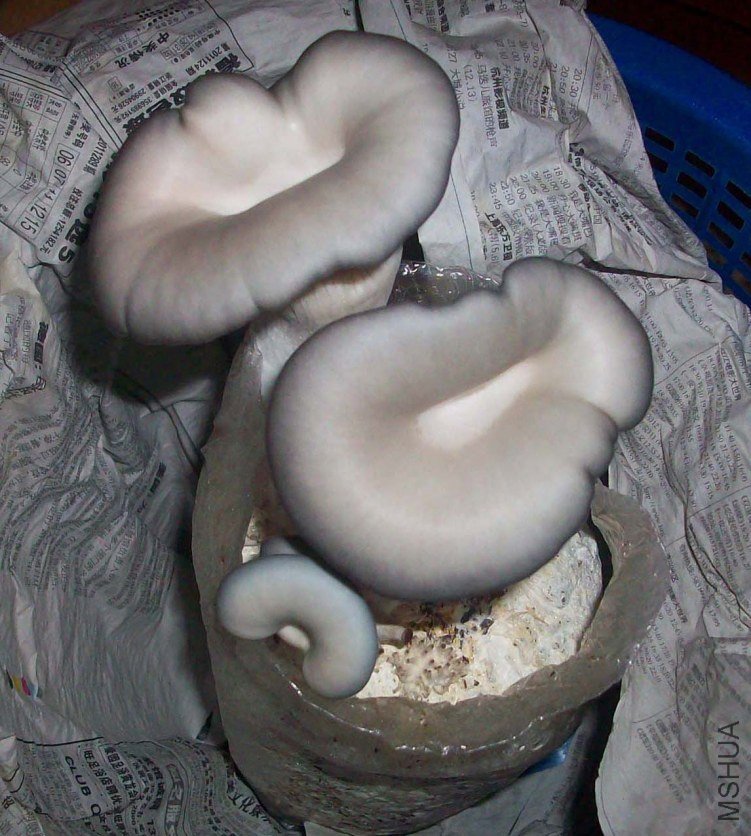 100_4052.jpg