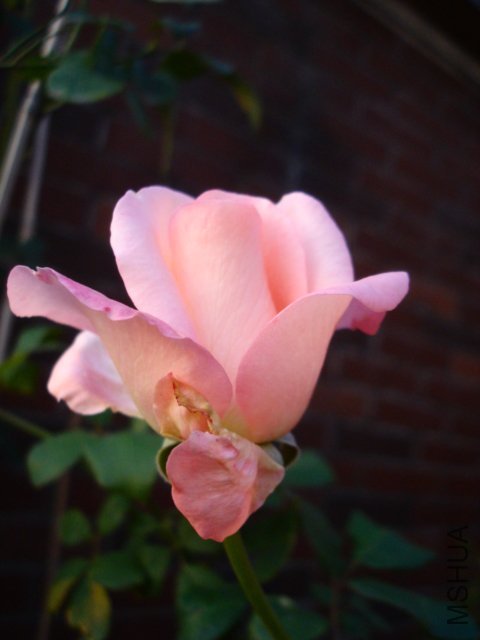 DSC08910.JPG