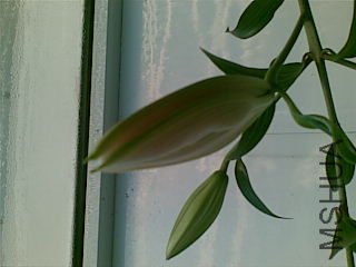 20111125.jpg