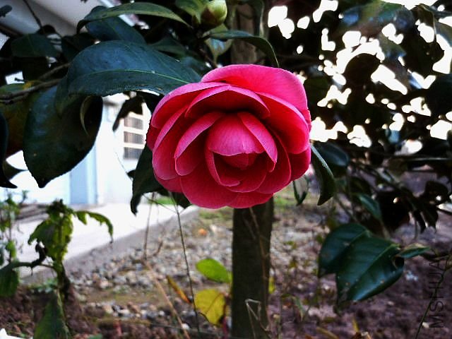 DSCN0569.jpg