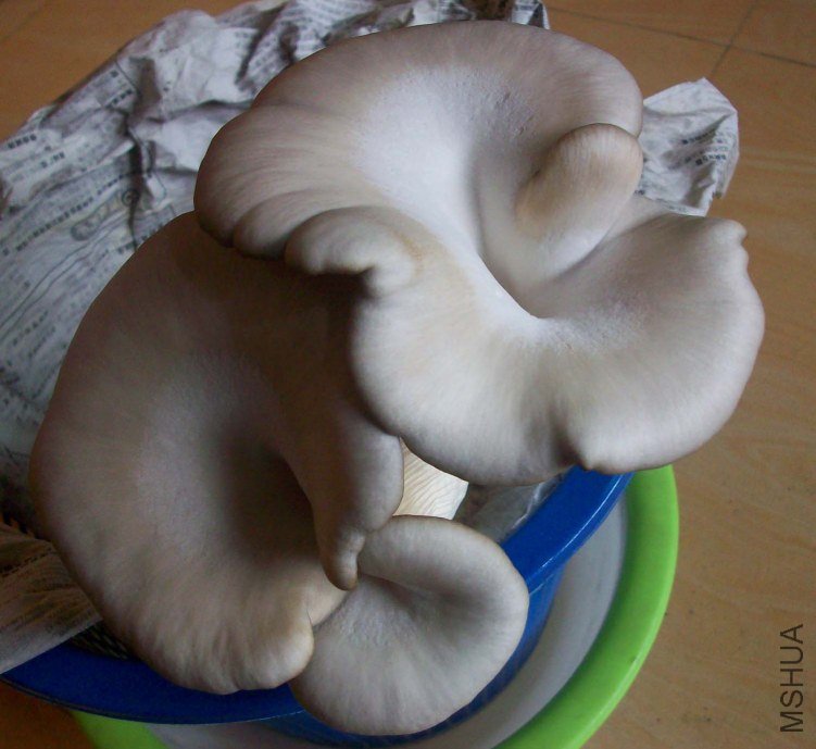 100_4056.jpg