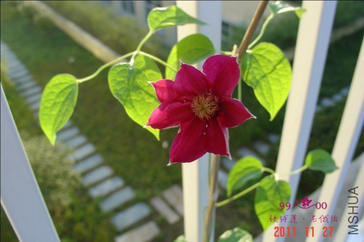 QQ��ͼ20111201114753.jpg