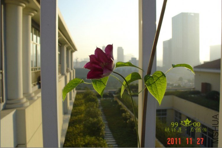 QQ��ͼ20111201114805.jpg