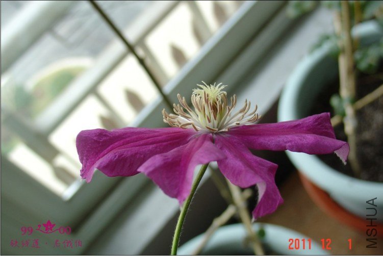 QQ��ͼ20111201114828.jpg