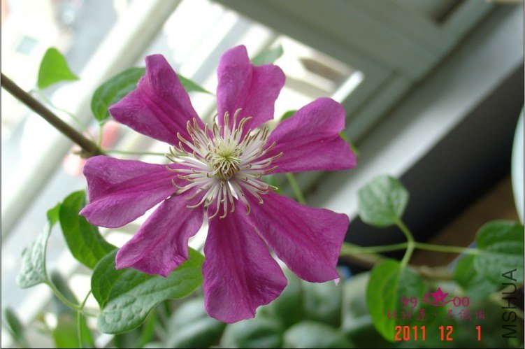 QQ��ͼ20111201114842.jpg