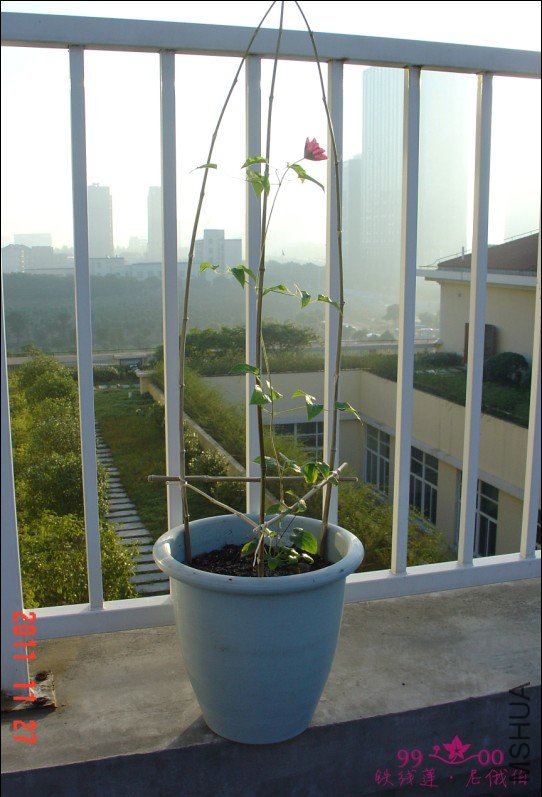 QQ��ͼ20111201114852.jpg